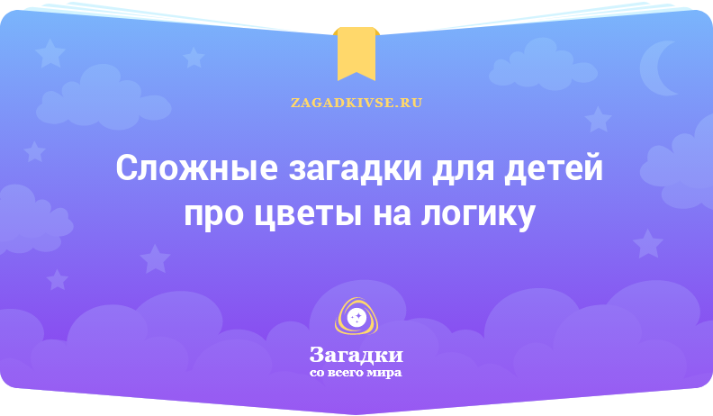 Мастер-класс «Цветок-загадка-Хризантема» - презентация онлайн