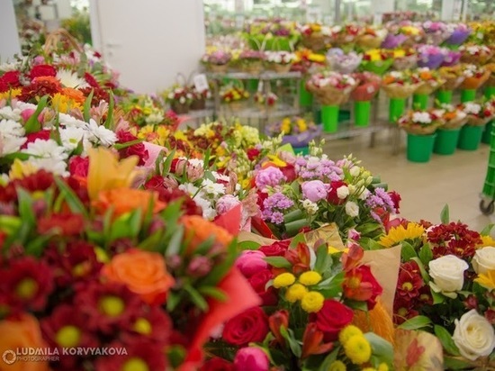 Доставка цветов в Петрозаводске от SFLowers! Заказ букетов с ...