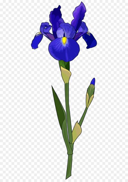 Iris Flowercoloring книга антистресс для детей и взрослых ...